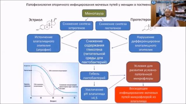 Актуальные вопросы урологии и нефрологии