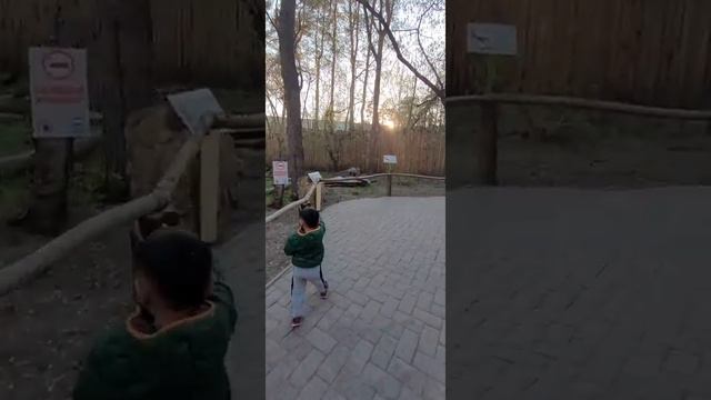 дино парк в Новосибирске