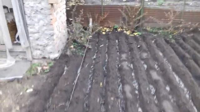 Органическое удобрение Биочар (biochar) для огорода, теплиц, кукурузы, подсолнечника, рапса