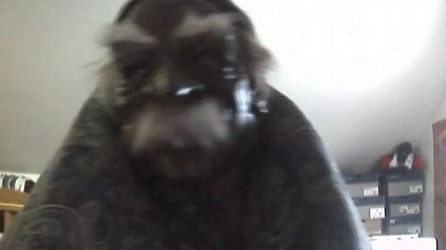 Noops Montage Of Old QuickCam Videos!