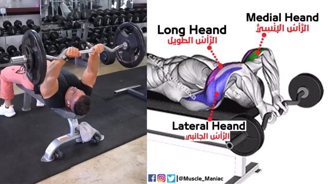 How To Build Your Triceps workout Fast (8 Effective Exercises)
