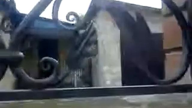 Кованая решетка малого размера.