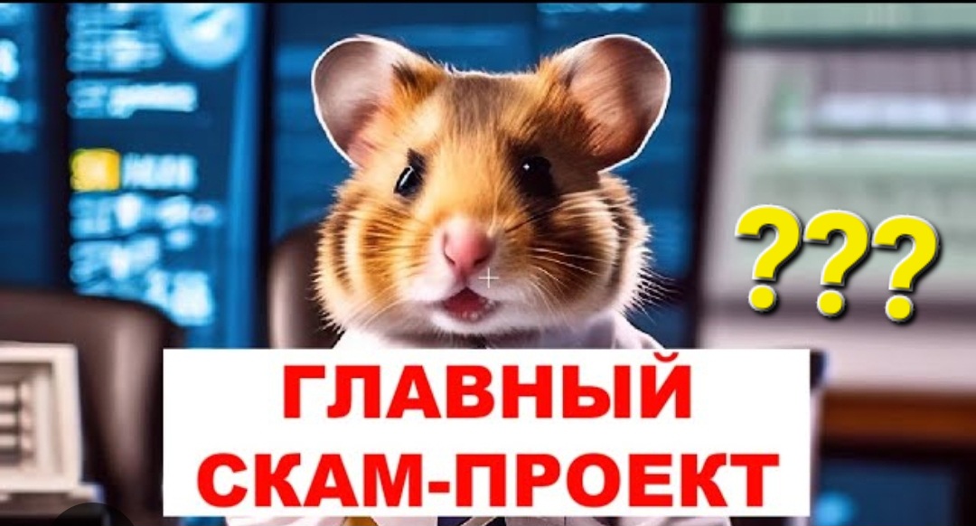Хамстер разбор игры. Hamster Kombat скам или нет. hamster Kombat даст ли денег.