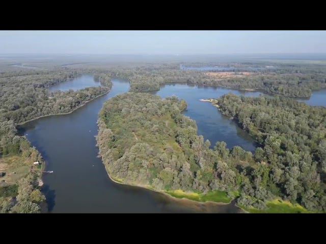 Дельта Белой реки