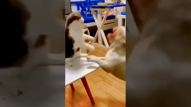 Смешные животные #120 #shorts