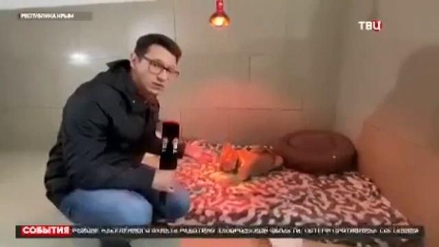 ЛЕЧИТ или КАЛЕЧИТ доктор ВАСЯ?