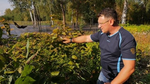 РусРоза 10