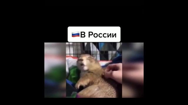 АМЕРИКА vs РОССИЯ _ Приколы из Тик Тока _ СМЕХ ДО СЛЕЗ