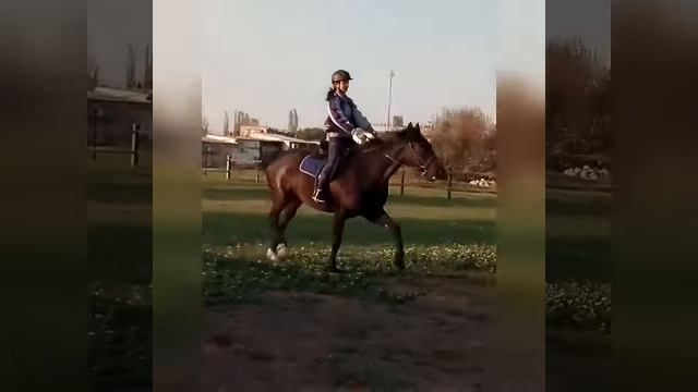 ТРЕНИРОВКА | Чокнутая лошадь.. Поэтому моя! 🐽💕💫/ #клип