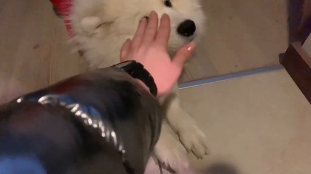 FIRST VLOG. Работа в Турции. Измир. Март 2019.