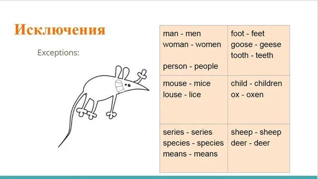 Английский. Множественное число существительных.