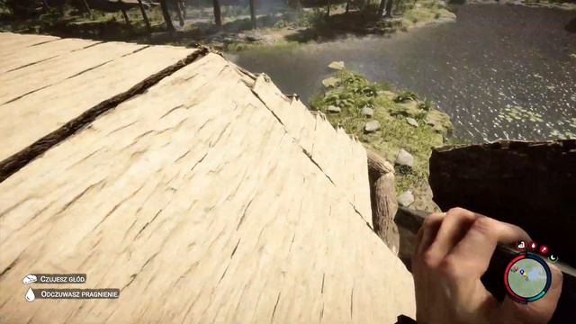 Chyba koniec... | Sons Of The Forest Sezon 2 | #5 | @Tomek90