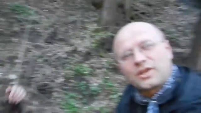 Sauerklee, in kleinen Mengen essbar