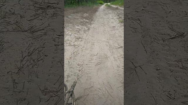 Давайте бережно относиться к природе и разным формам жизни.