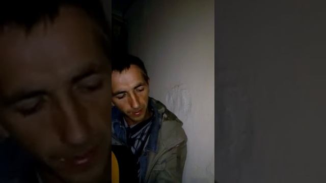 Растет АкацияКАВЕР