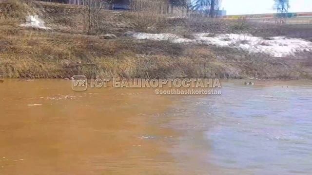 Город Стерлитамакрека Стерля. 29.03.2023 г.