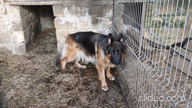 Принесла Хедде и Жасминке свежую водичку.