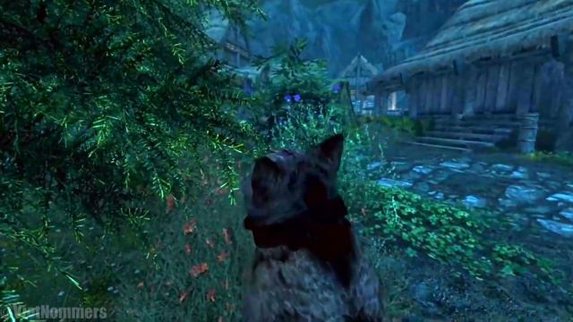 "How To Play With Cats In Skyrim!!!"