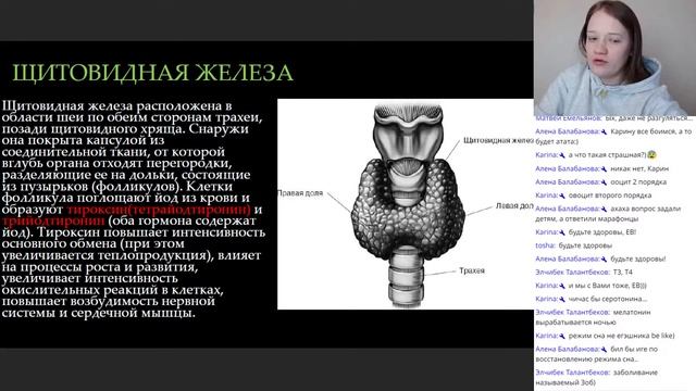 ОГЭ по биологии 2022. Анатомия человека: эндокринная система.