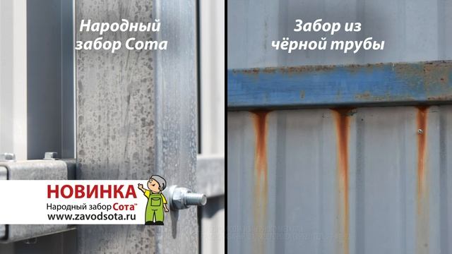 Народный Забор Сота легко собрать своими руками