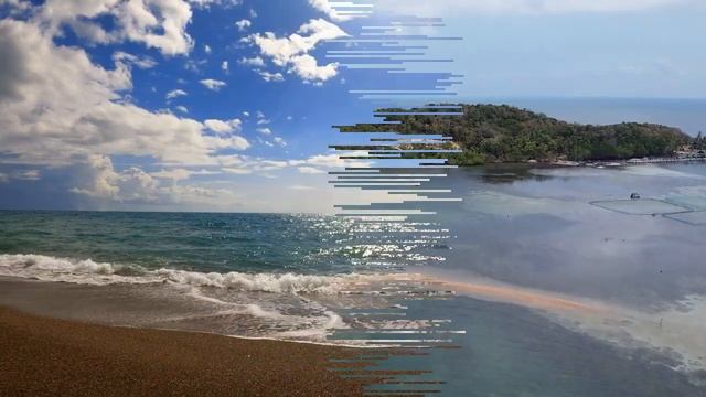 природа животные музыка
