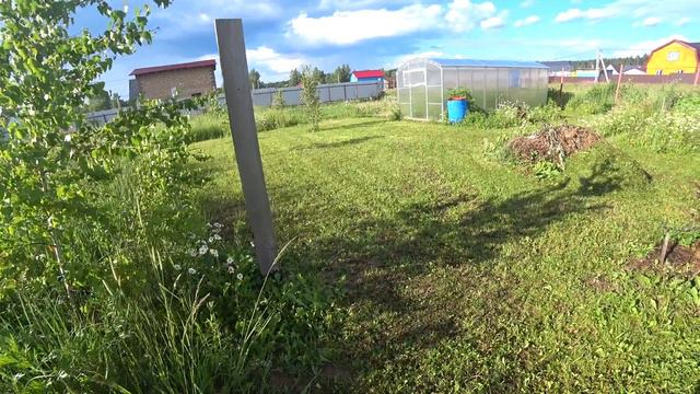 218. Летние дела