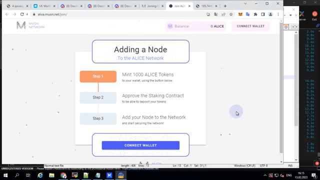 MUON NETWORK. Что это с чем его едят?