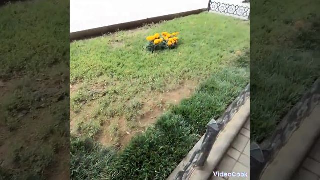 город гянджа