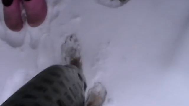 Босиком по снегу.