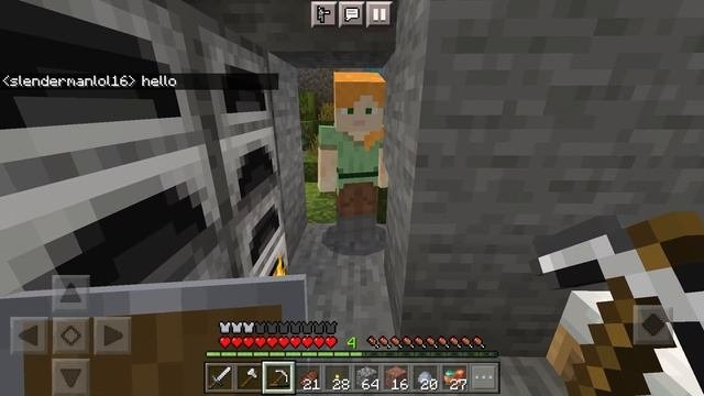 MINECRAFT CREEPYPASTA: The NPC