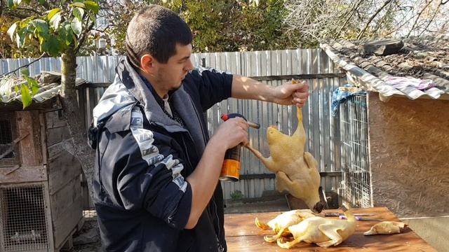 Вес мулардов в 6 месяцев. Запацуем шашлычок)