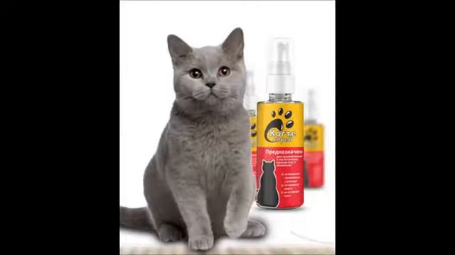 Когтеспрей - спрей для кошек