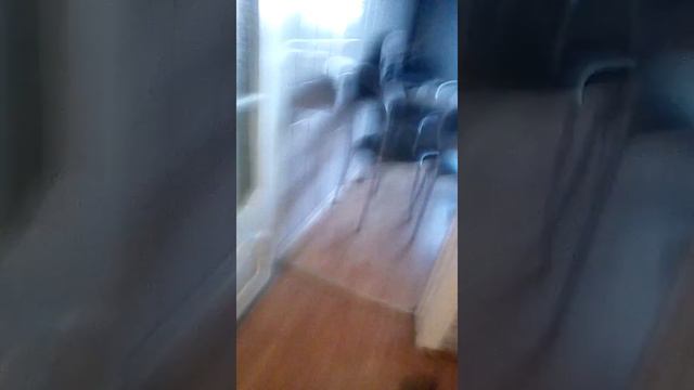 Видео называется про дом