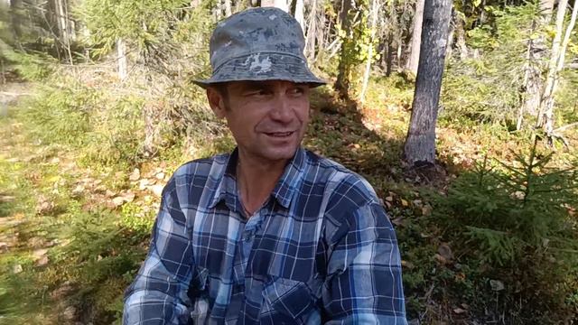 Пора собирать брусника.Как Я  10 литровые ведро собрал за 2 часа.сентябрьский осень