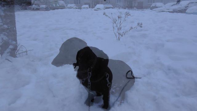 ВСЕ КОЗЫРНЫЕ КОСТОЧКИ ЗАМЁРЗЛИ !!!!!!!!!