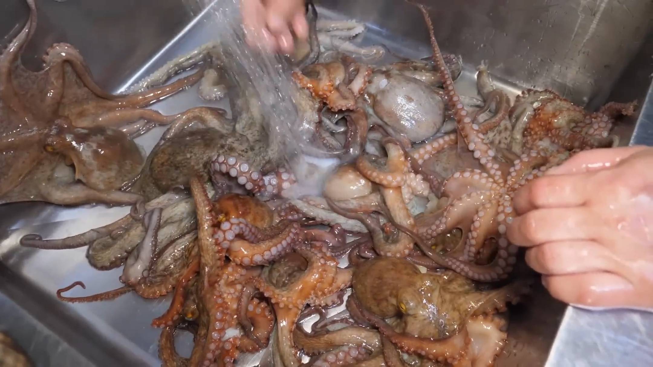 Вкуснейшие блюда из морепродуктов \ Азиатская кухня \ Корейская еда