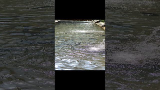 Водопад медленно VID20240607134658