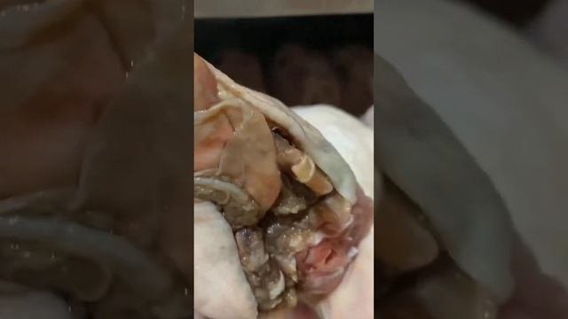 Новинка головы утокбольшие и полезные.Все самое лучшее для ваших питомцев лакомствадлясобак утк