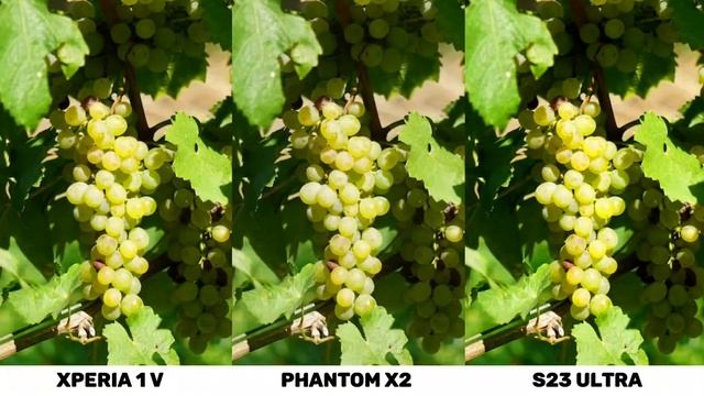Sony Xperia 1 V vs Techno Phantom X2 Pro vs Samsung Galaxy S23 Ultra Camera Test