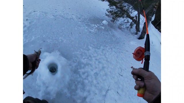 ХАРИУС В КОМИ. ЗАКРЫТИЕ СЕЗОНА. МАРТ 2023.