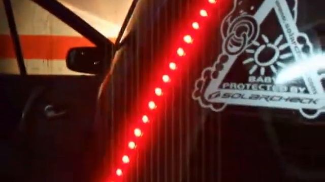 Animal leds 3