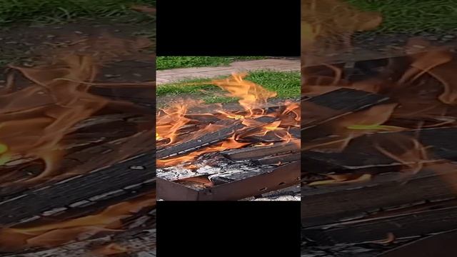 VID_20230716_095242.mp4