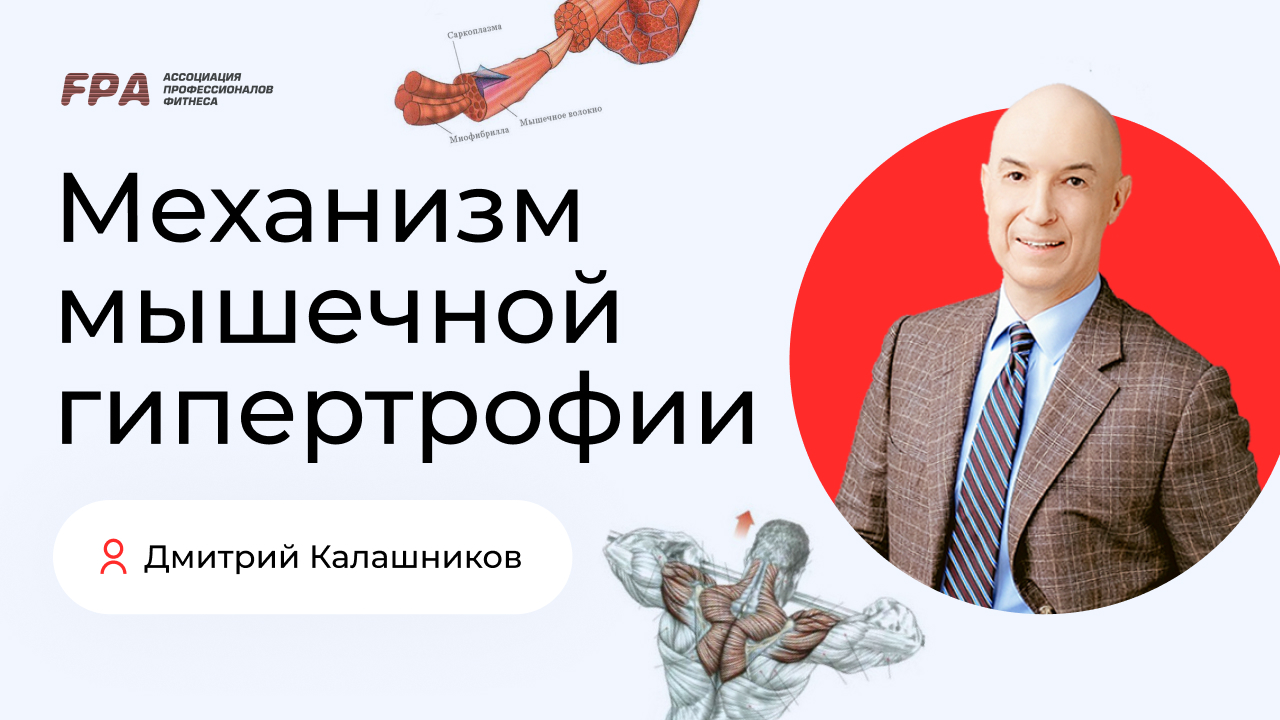 Механизм мышечной гипертрофии | Дмитрий Калашников (FPA)