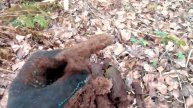 нашёл помойку.в.лесу с шикарными находками коп по войне фильм 47