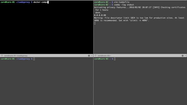 Caddy dynamic proxy