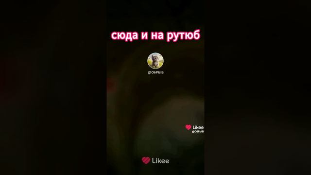 пшик от кота, продолжение