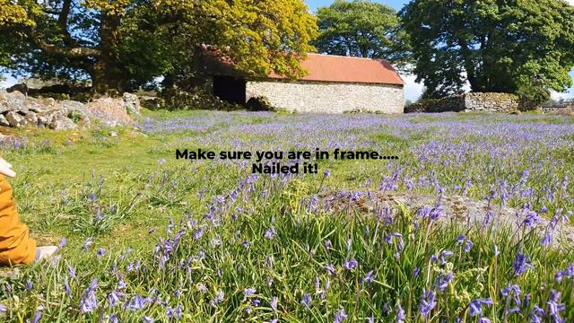 5 Tips for Capturing the Perfect Bluebell Photo