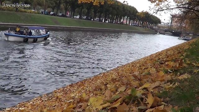 Жёлтый лист кленовый.