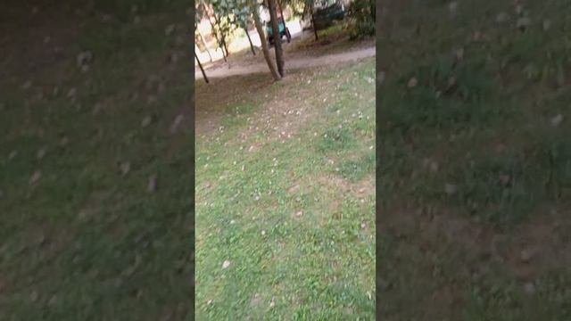 О боже мой миф с маской