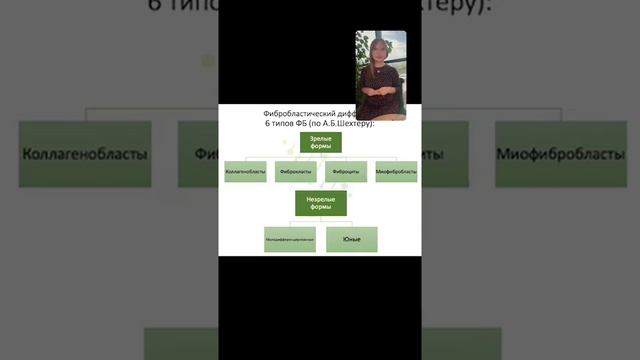 Webinar plla